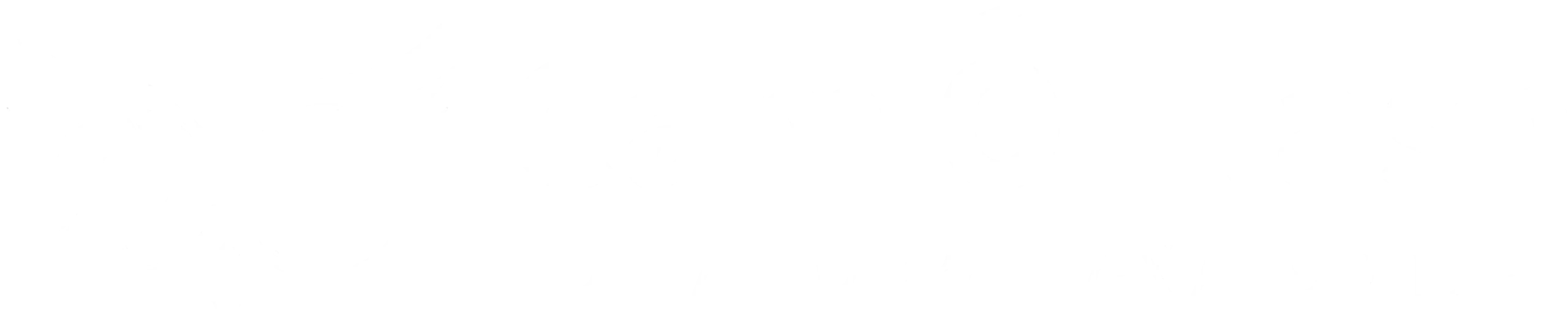 Camoflash